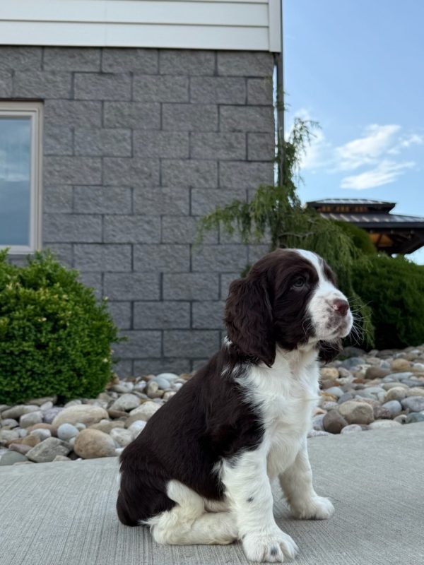 Jax - Image 17