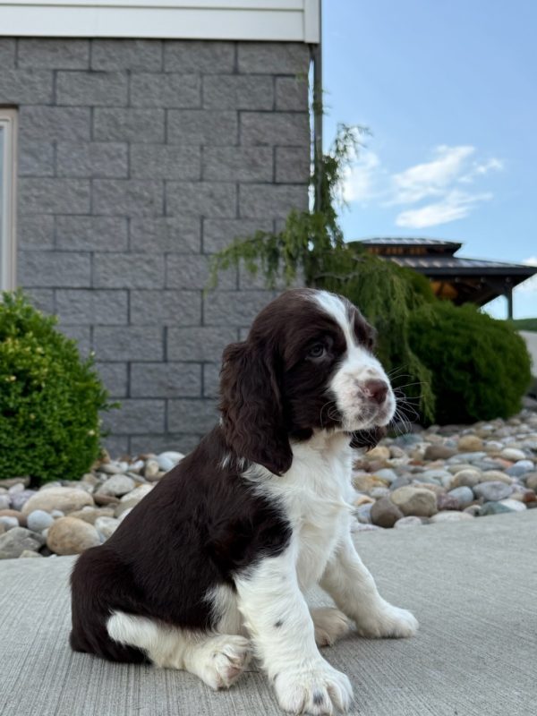 Jax - Image 18