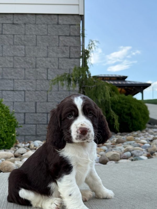 Jax