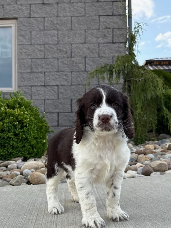 Riley - Image 13
