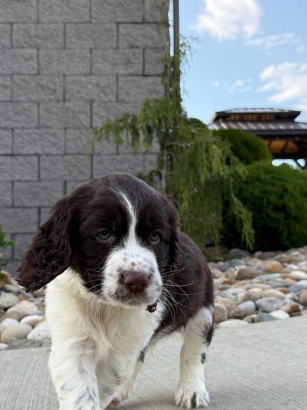 Riley - Image 12