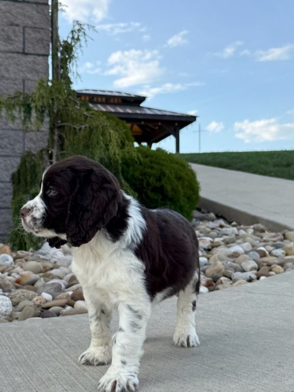Riley - Image 11