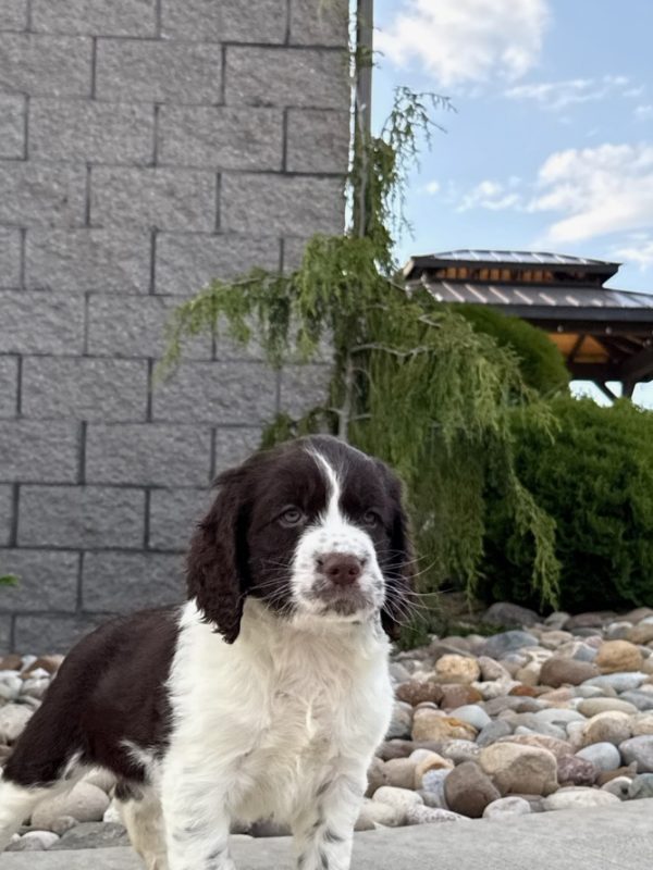 Riley - Image 9