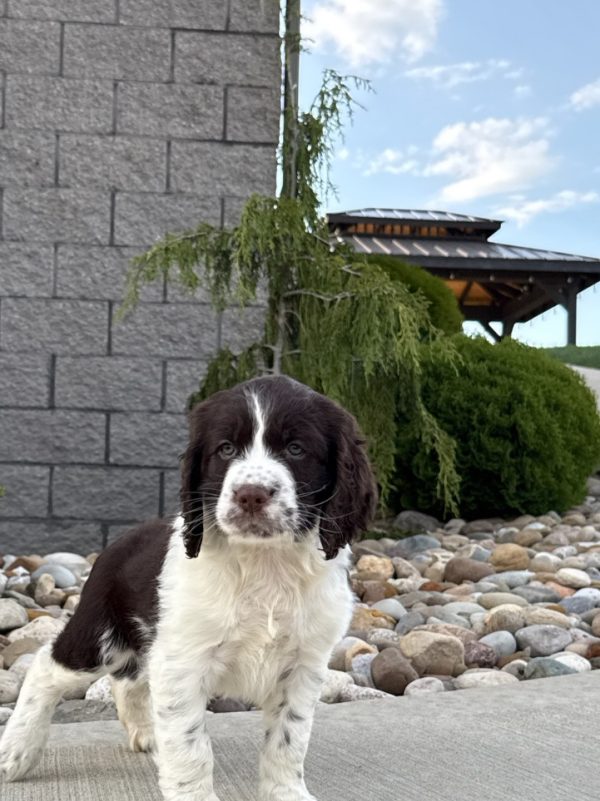 Riley - Image 8