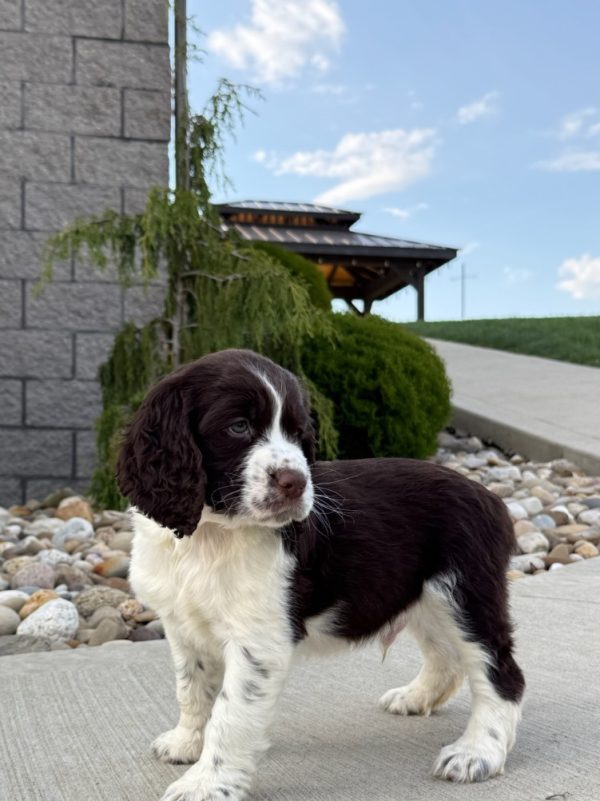 Riley - Image 10