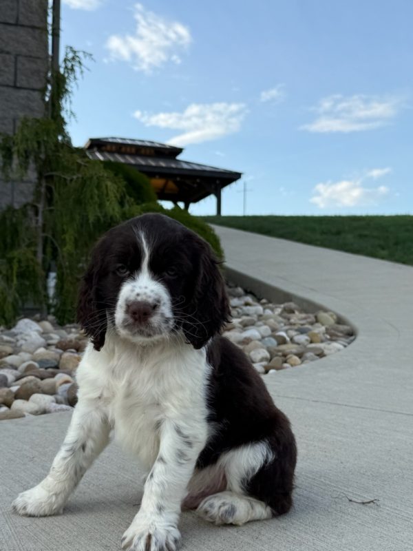 Riley - Image 5