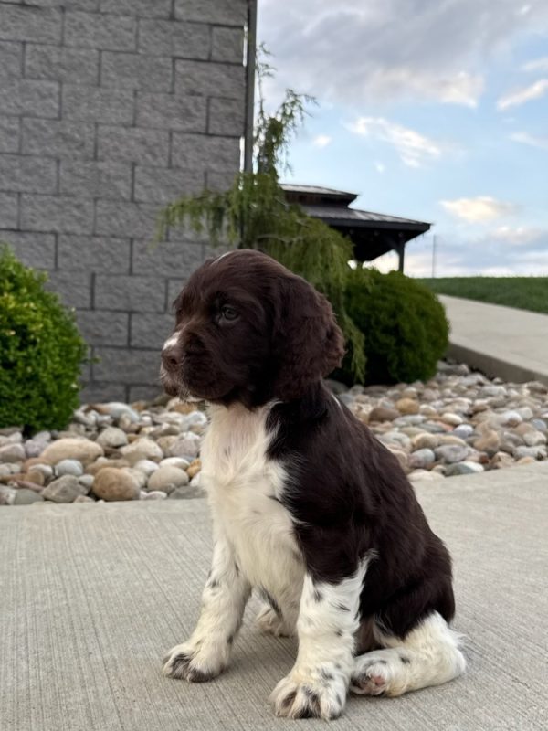 Zoey - Image 11