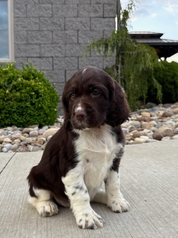Zoey - Image 15