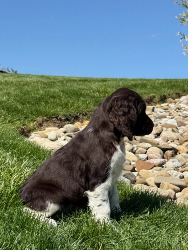 Zoey - Image 2