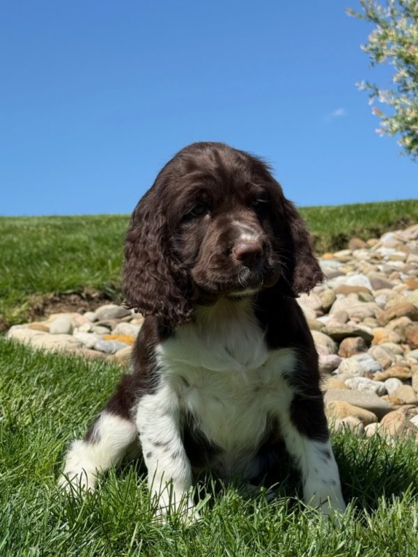 Zoey - Image 3