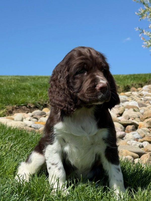 Zoey - Image 5