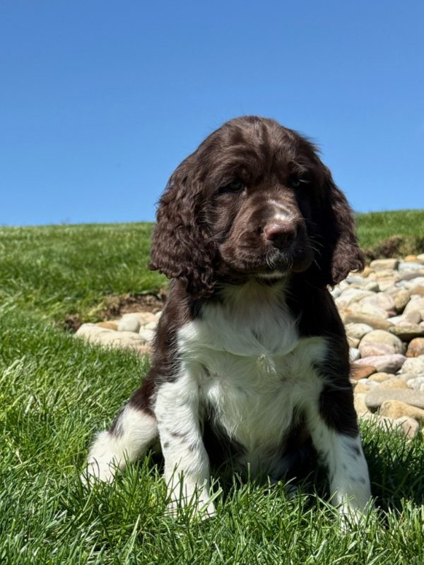 Zoey - Image 7