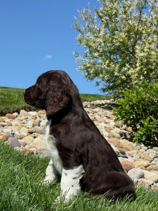 Zoey - Image 6