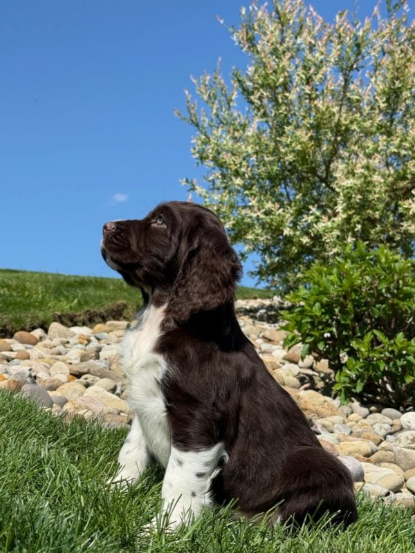 Zoey - Image 4