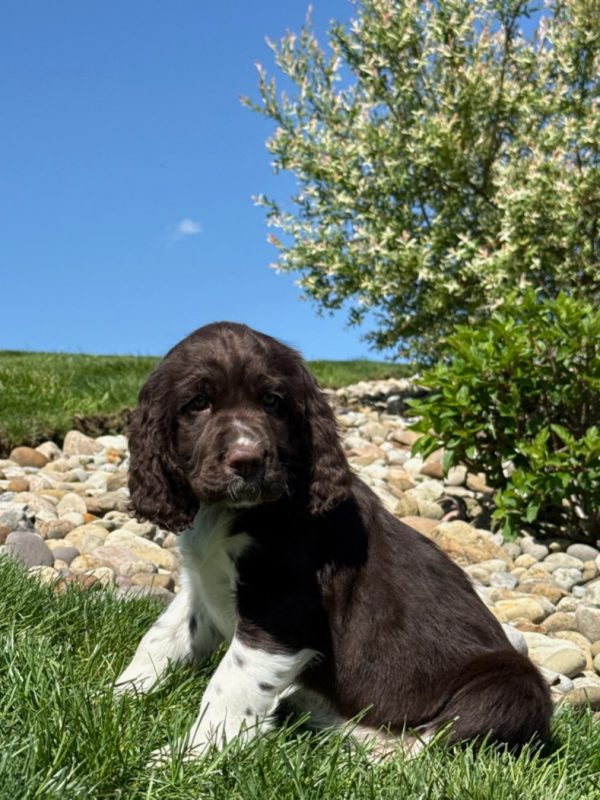 Zoey - Image 9
