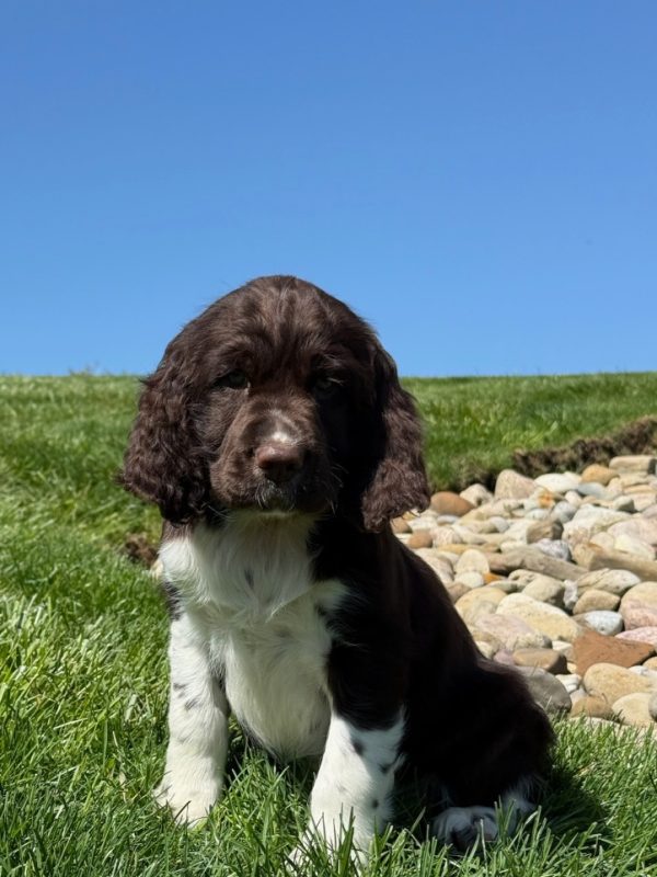Zoey