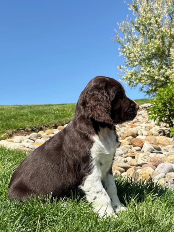 Zoey - Image 10