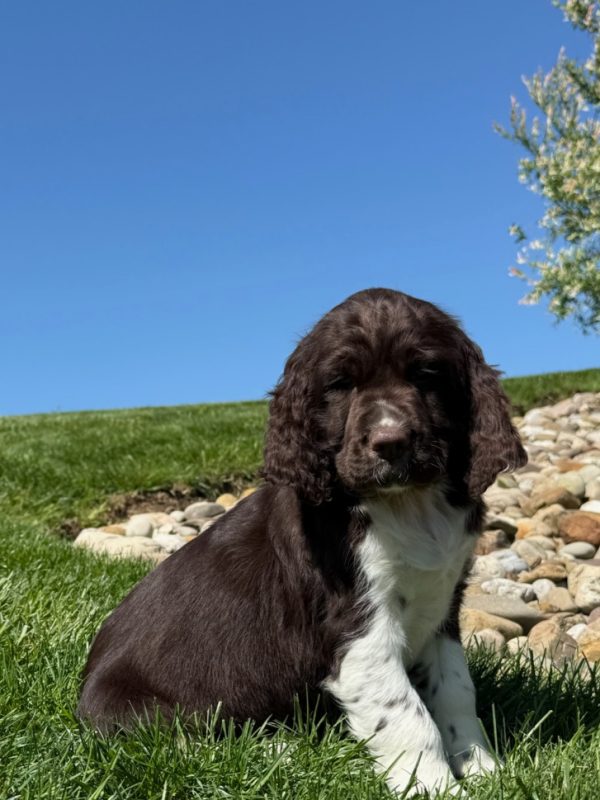 Zoey - Image 8