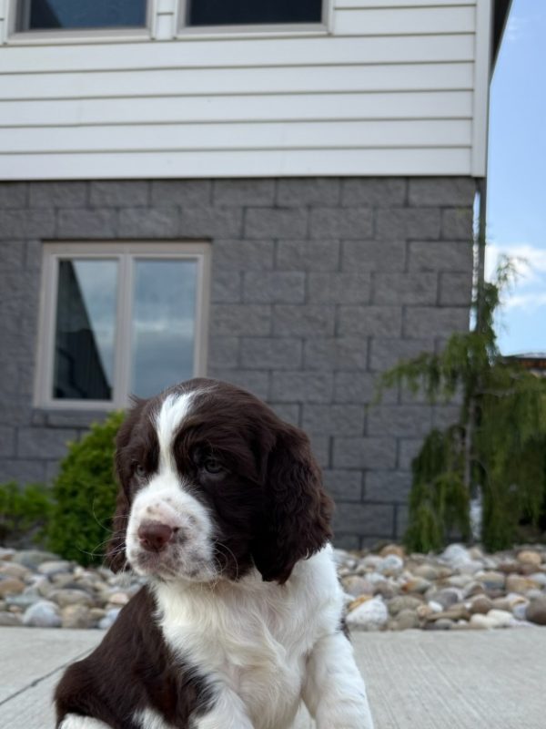 Jax - Image 13