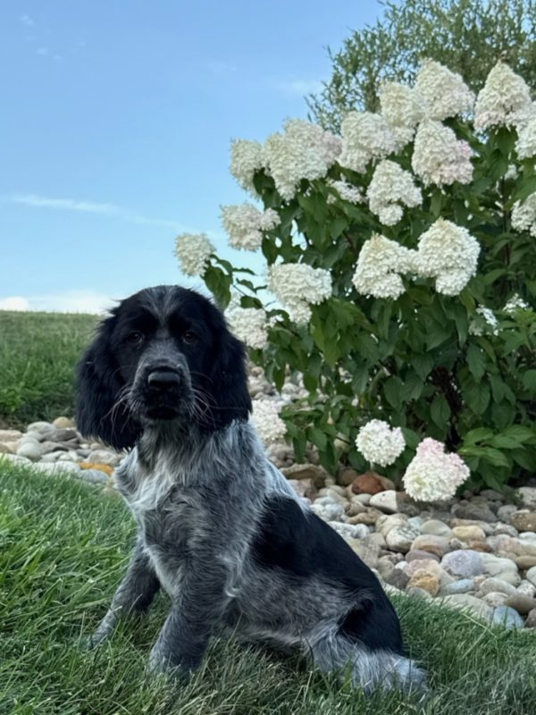 Lucy - Image 9