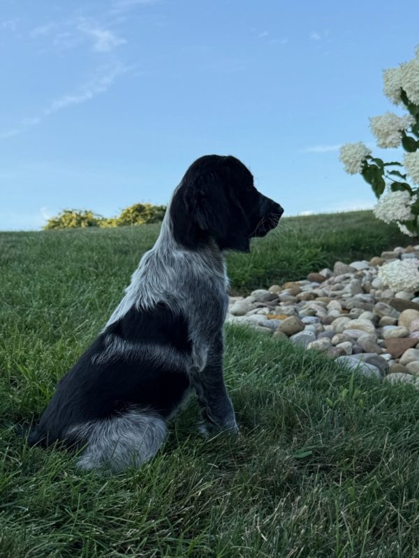 Lucy - Image 11