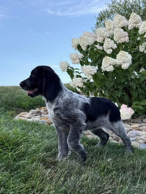 Lucy