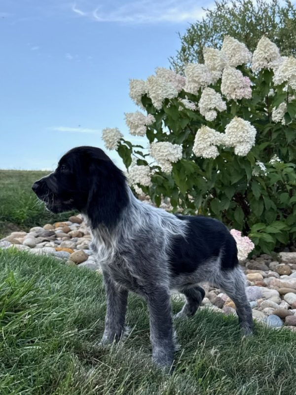 Lucy - Image 10