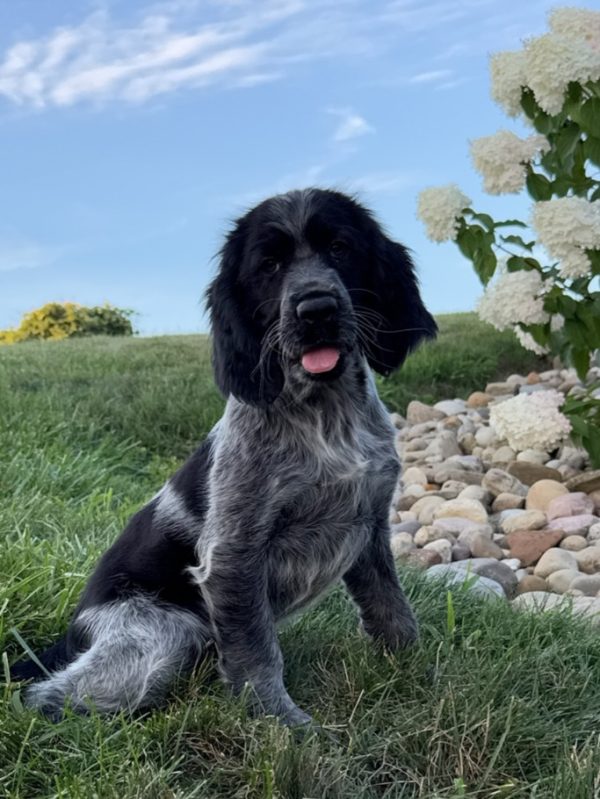 Lucy - Image 6