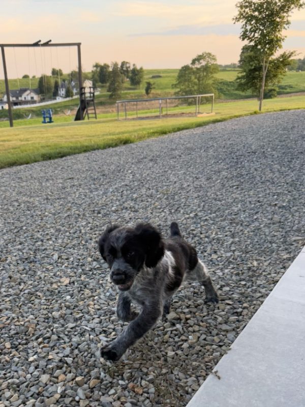 Lucy - Image 8