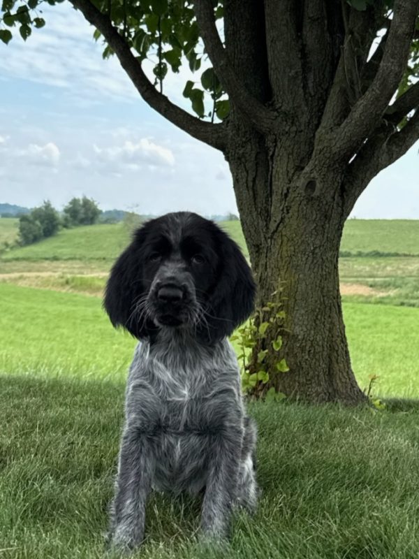 Lucy - Image 2