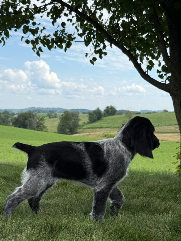 Lucy - Image 3